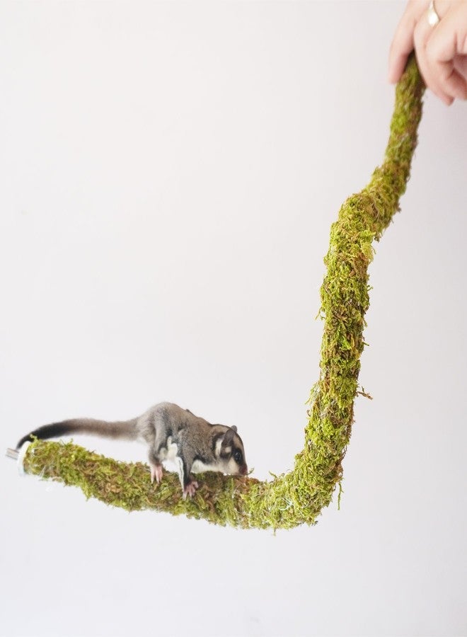 Begeterday 25 Inch Bendable Sugar Glider Climbing Toys, Ideal Sugar Glider Cage Accessories - Image 3